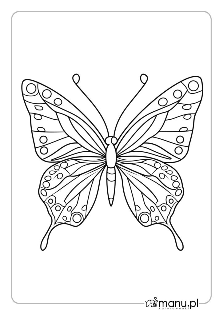 thumbnail of Kolorowanka skrzydła motyla