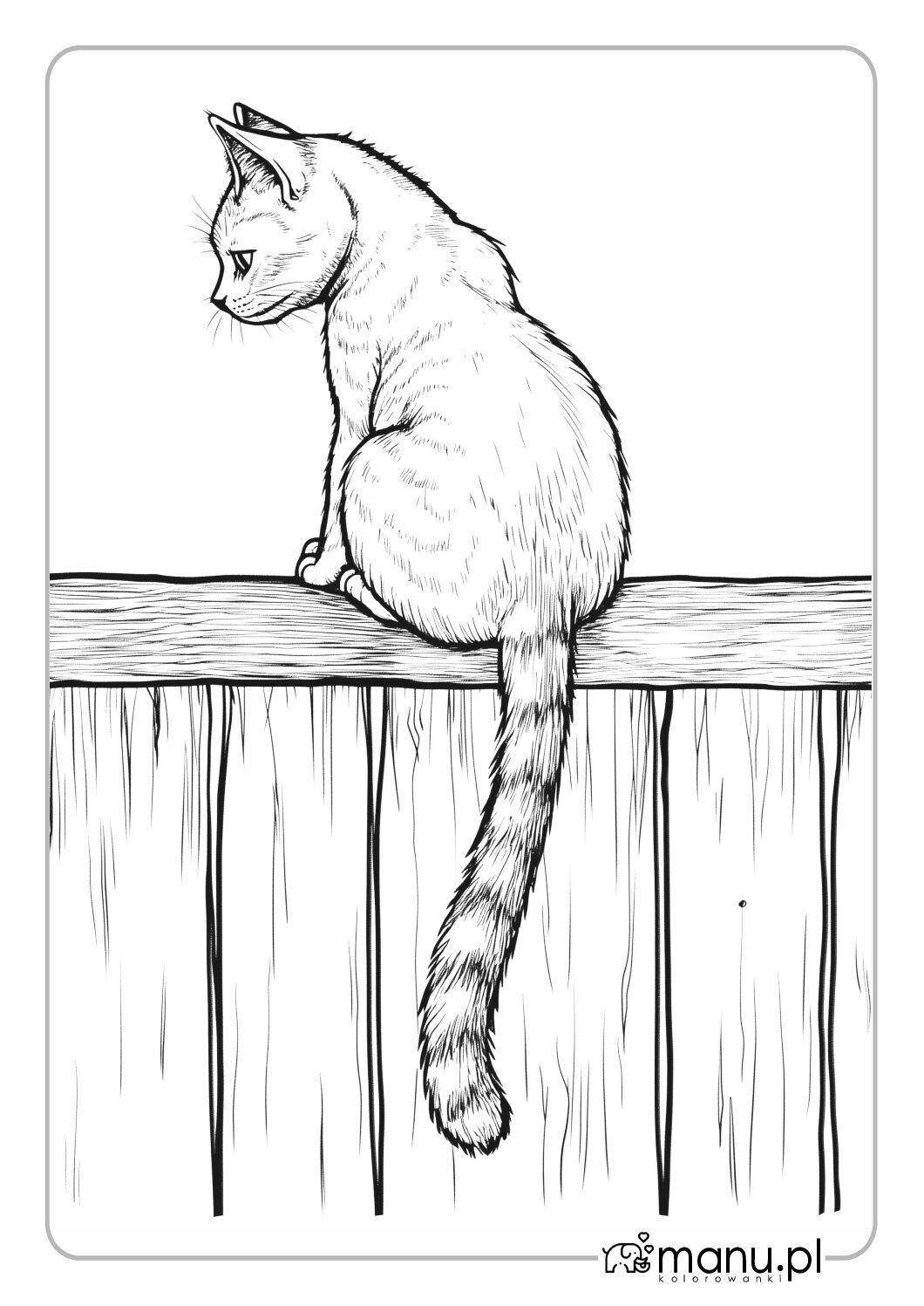 Kot na płocie kolorowanka do druku