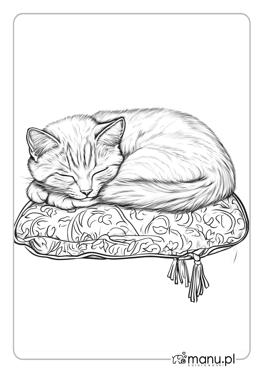 Kot na poduszce kolorowanka do druku