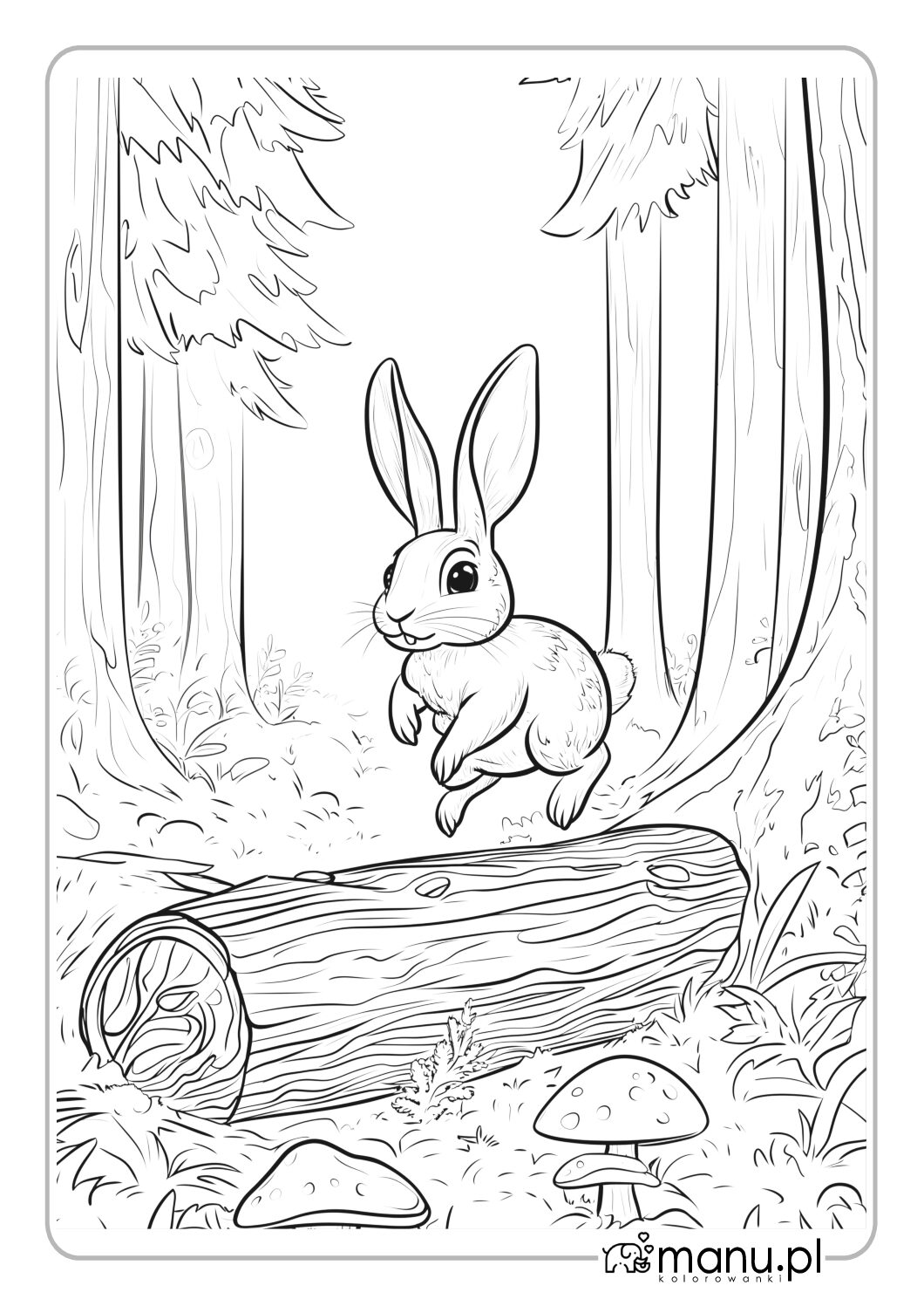 Królik kica sobie w lesie kolorowanka