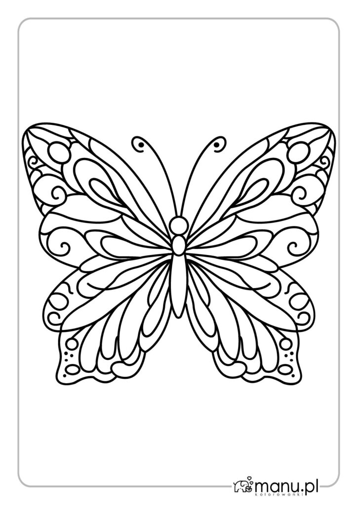 thumbnail of Motyl kolorowanka