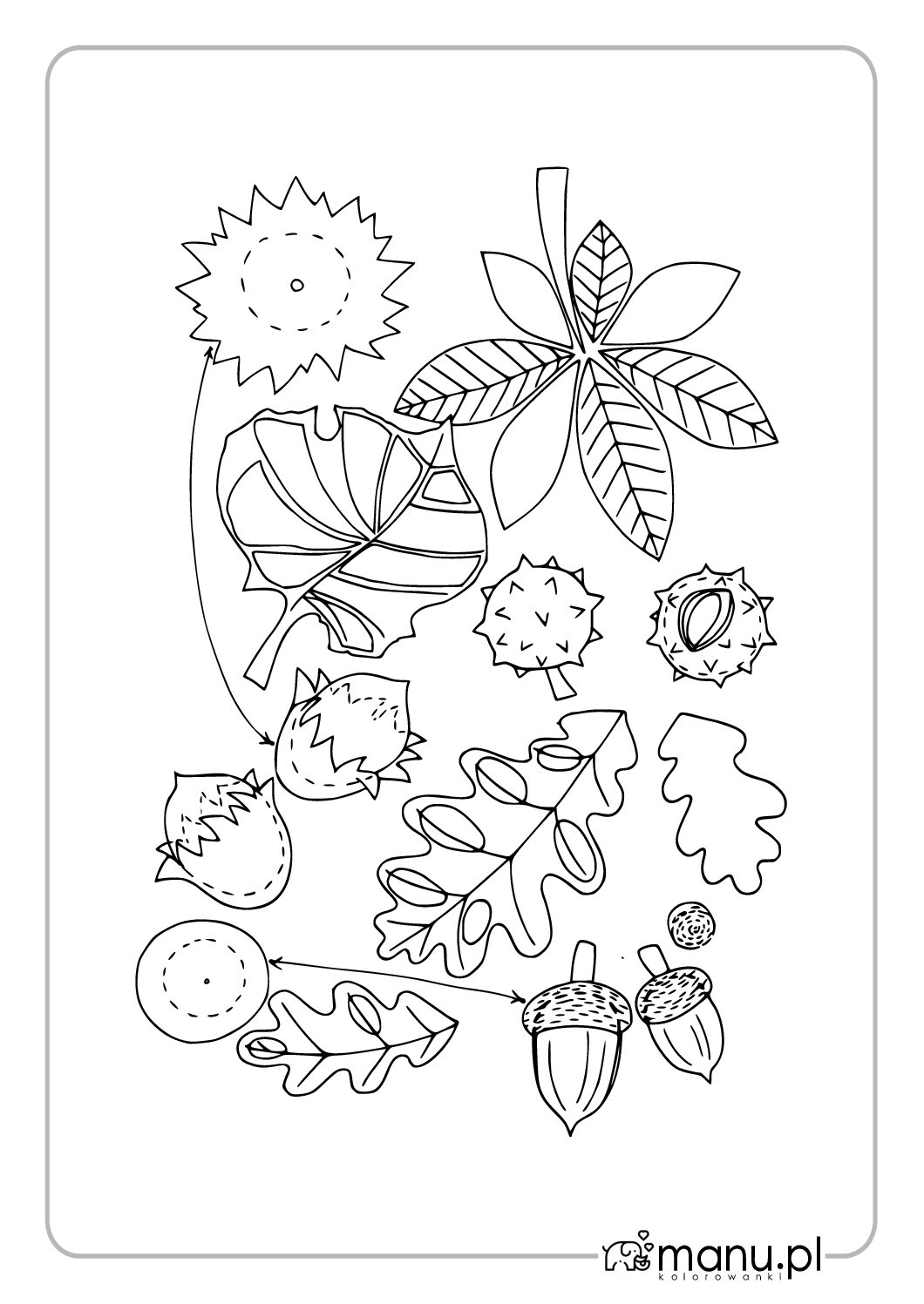 Kolorowanka kasztany i liście dla dzieci