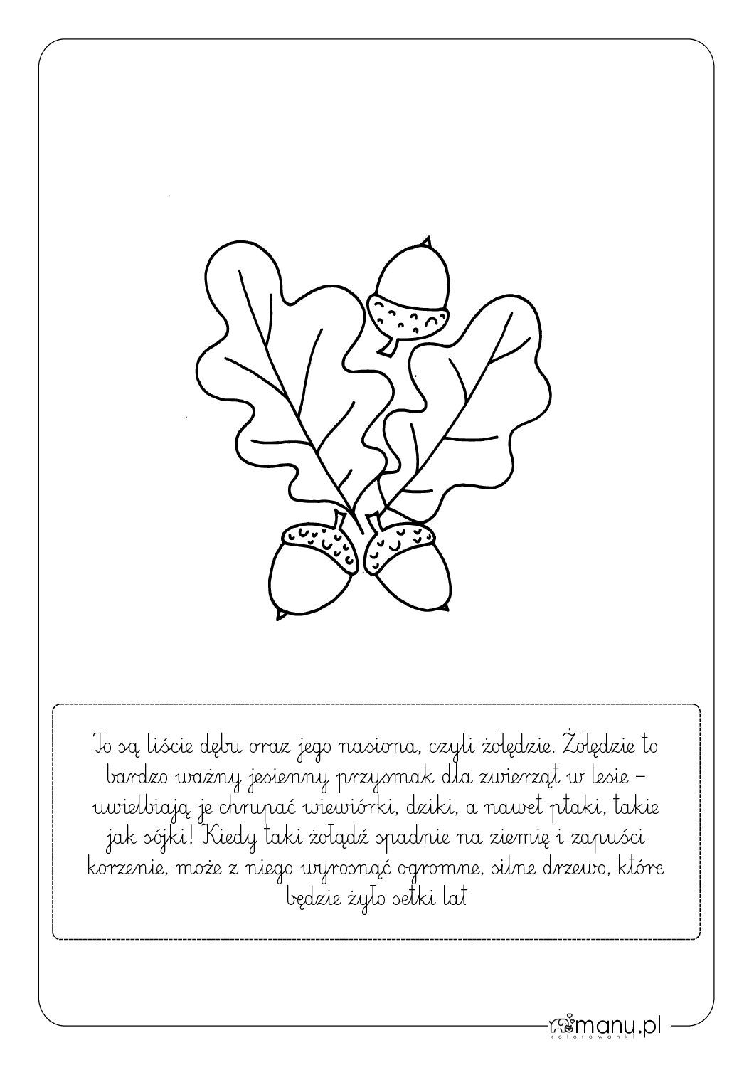 Liście dębu i żołędzie – edukacyjny szablon do druku dla dzieci